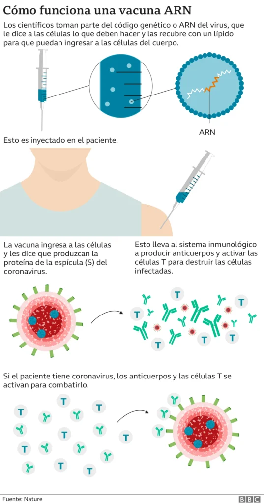 graficos COVID19